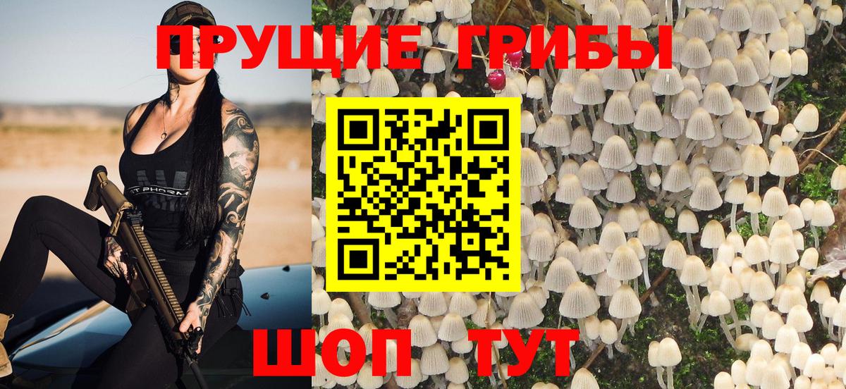 Галлюциногенные грибы Psilocybine cubensis  Галлюциногенные грибы GOLDEN TEACHER  Якутск  купить  сайты  Вход с VPN 